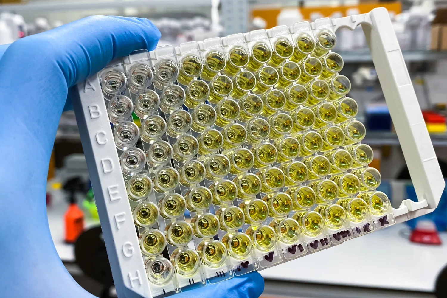 Navigating the Complexity of Biomarker Assay Development